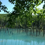 「青い池」　北海道美瑛町