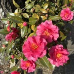 8d88a12d-33ed-4e8c-b03d-3420550bb82d